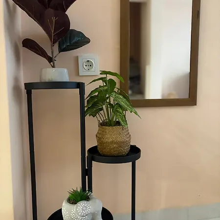Apartamento House *