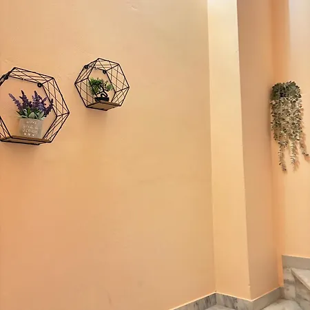 House *