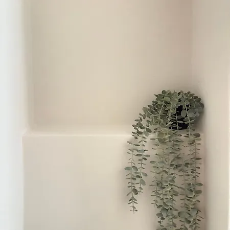 דירה House העיירה קוס